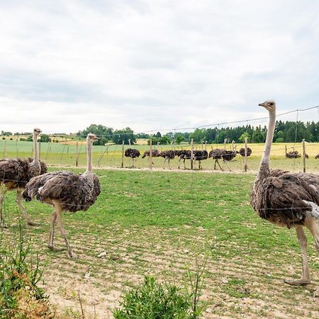Beutenmuehle Straussenfarm Dach Owingen Luaran gambar
