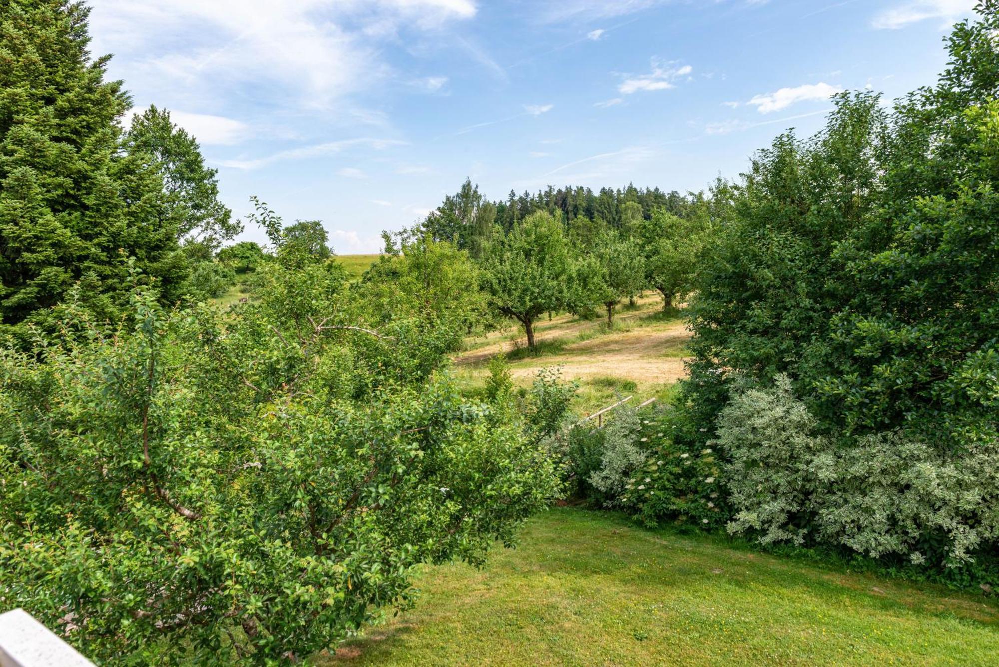 Beutenmuehle Straussenfarm Dach Owingen Luaran gambar